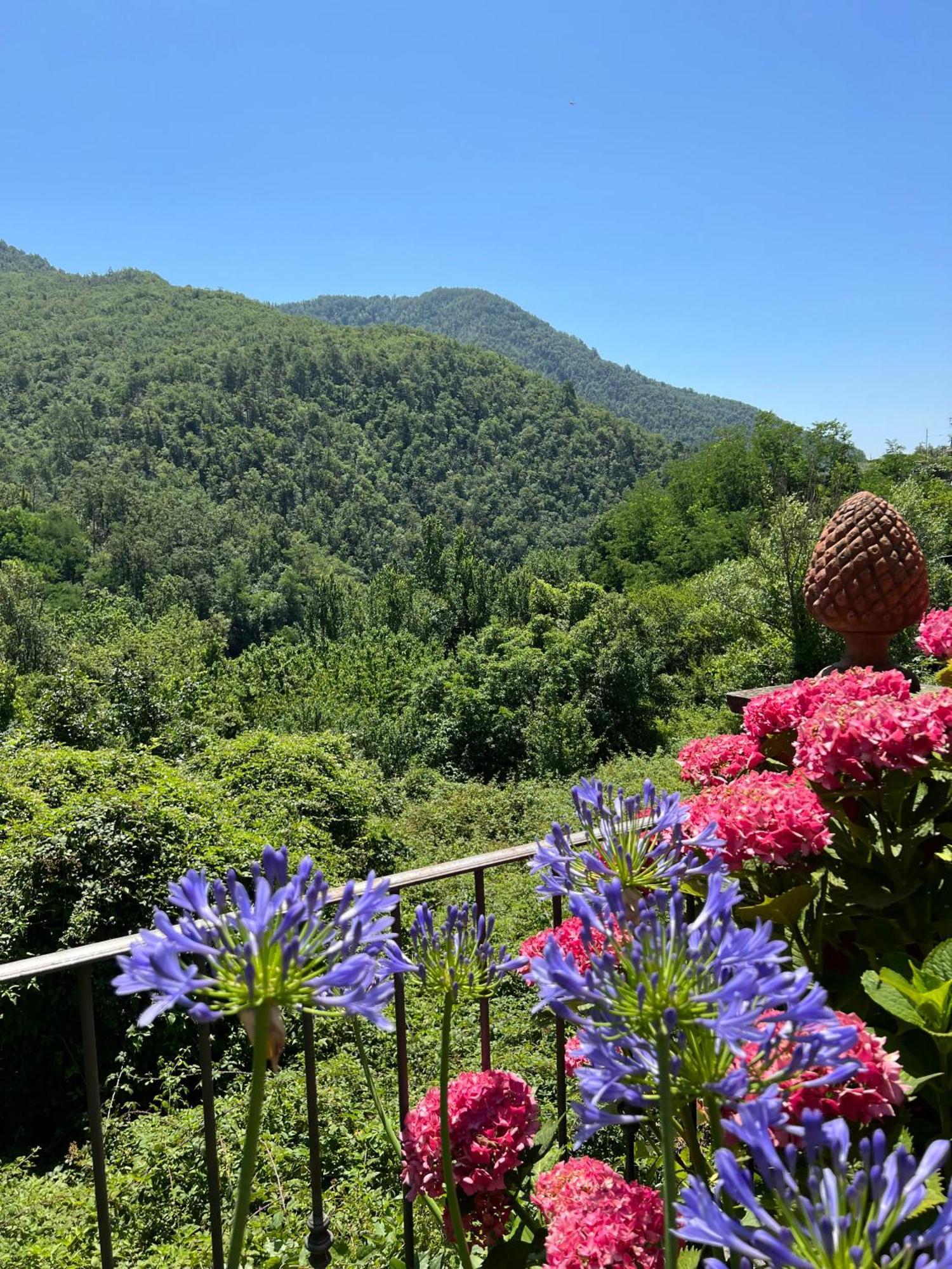 Casa Boru - A Beautiful Fully Restored Spacious House With Fantastic Views Calice al Cornoviglio エクステリア 写真